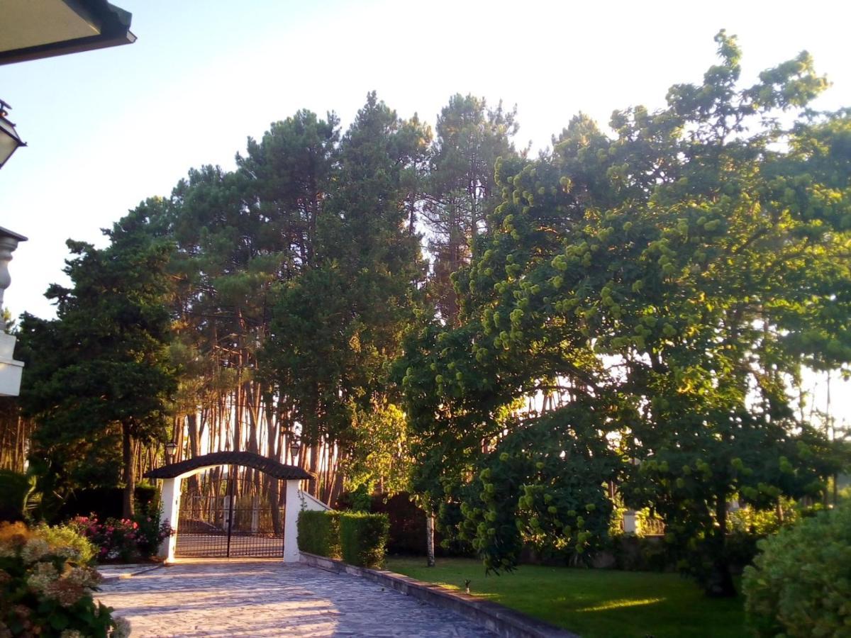 Pinheirinhos - Quinta De Sao Caetano Villa Carapito Kültér fotó