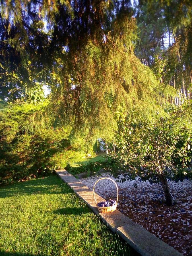 Pinheirinhos - Quinta De Sao Caetano Villa Carapito Kültér fotó