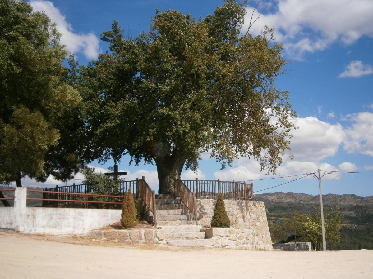 Pinheirinhos - Quinta De Sao Caetano Villa Carapito Kültér fotó
