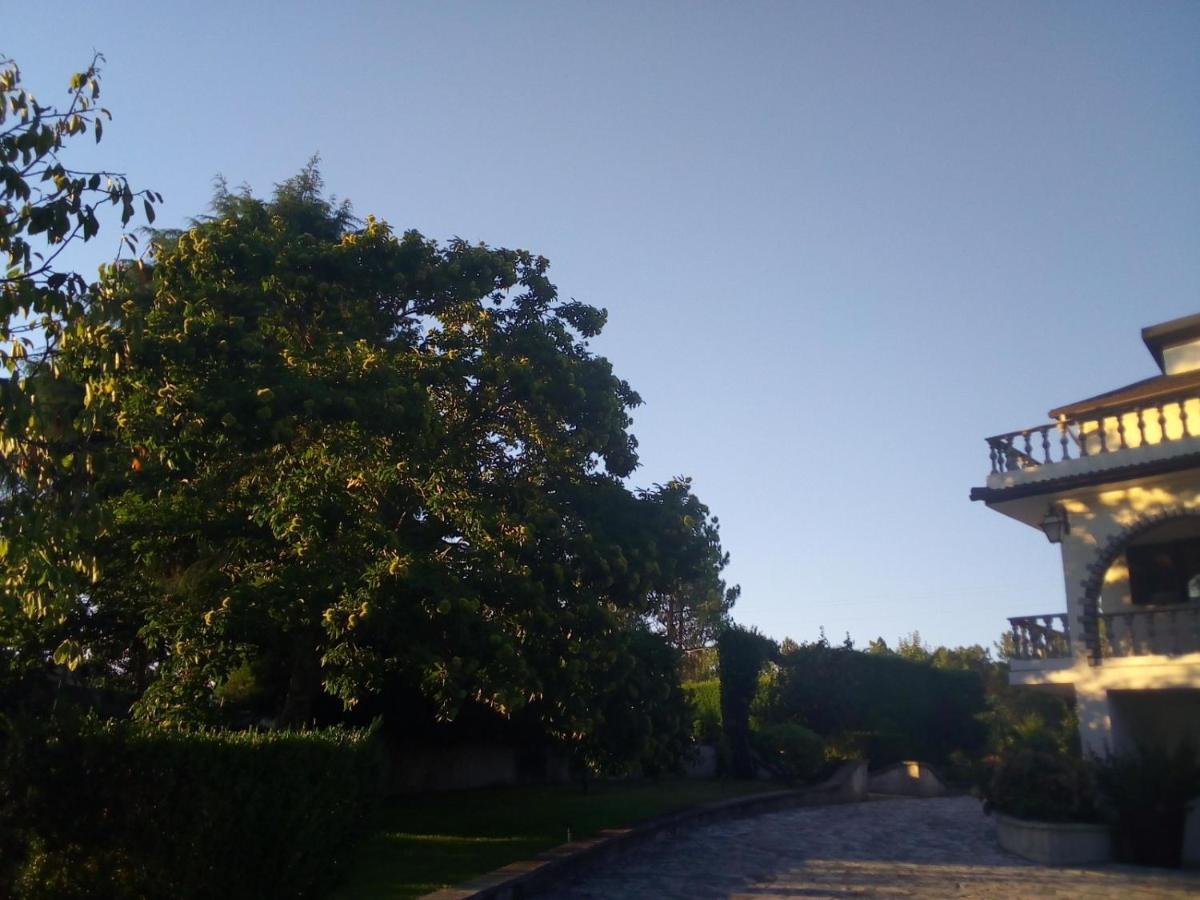 Pinheirinhos - Quinta De Sao Caetano Villa Carapito Kültér fotó