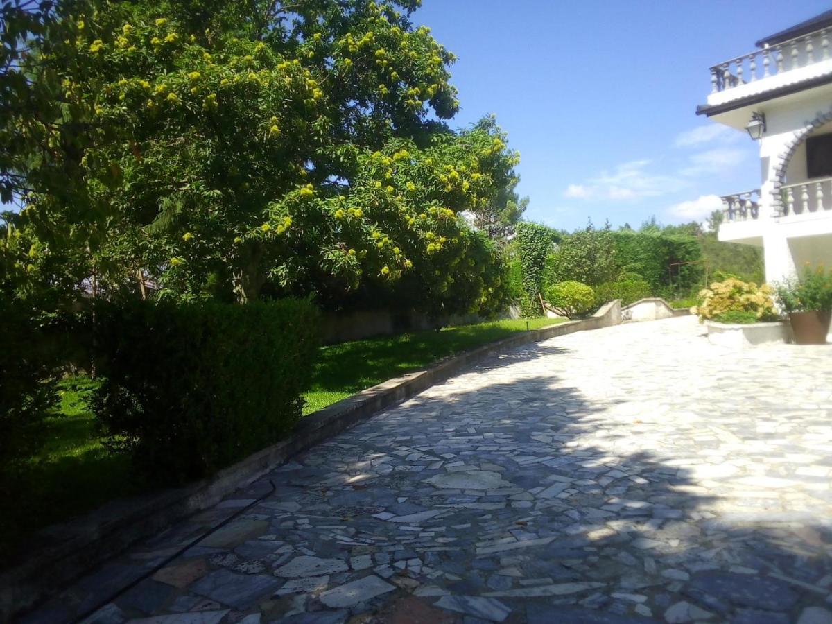 Pinheirinhos - Quinta De Sao Caetano Villa Carapito Kültér fotó